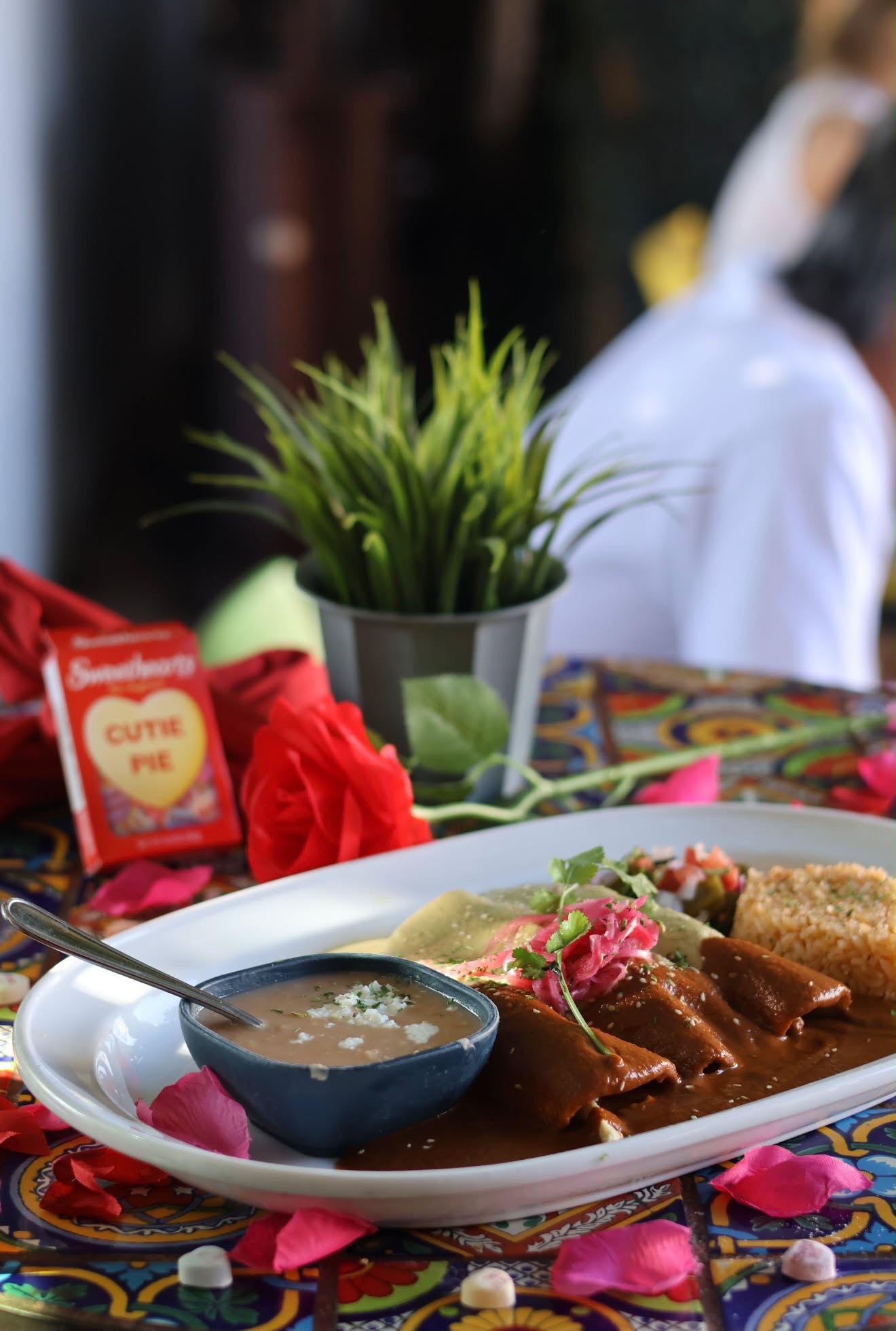 Enchiladas served with salsa verde at El Patio
